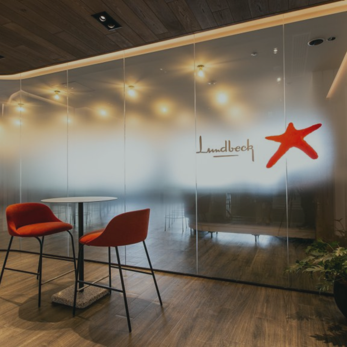 e-learning development for Lundbeck